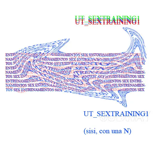 ut_sextrainning1